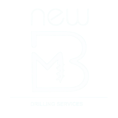 png logo new bm 2